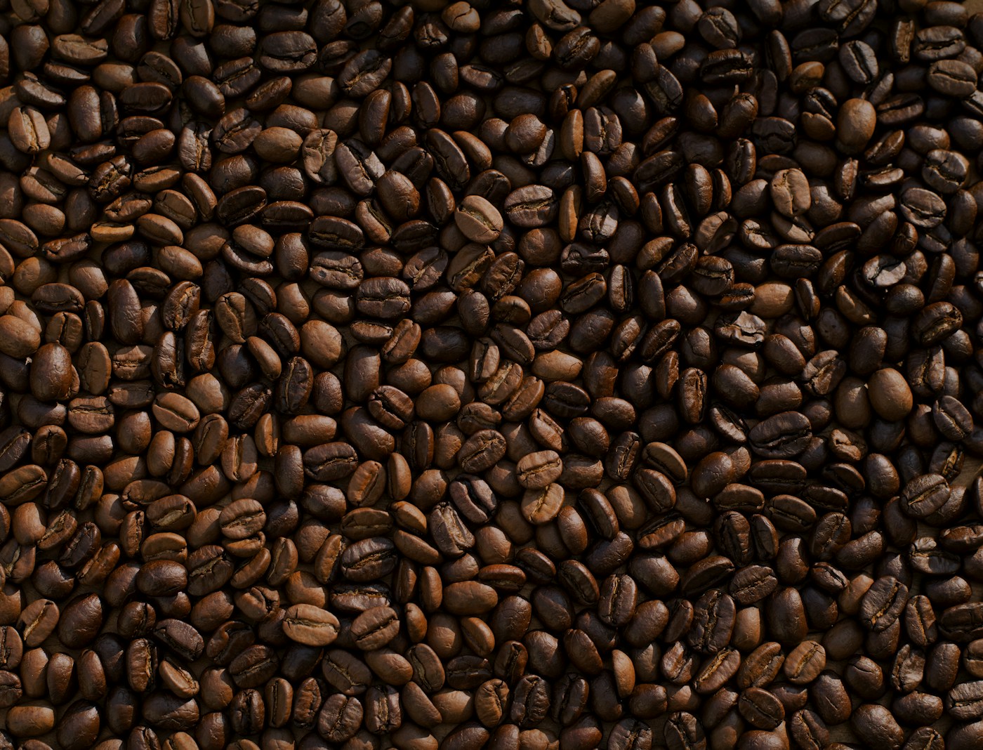 Coffee Tourism