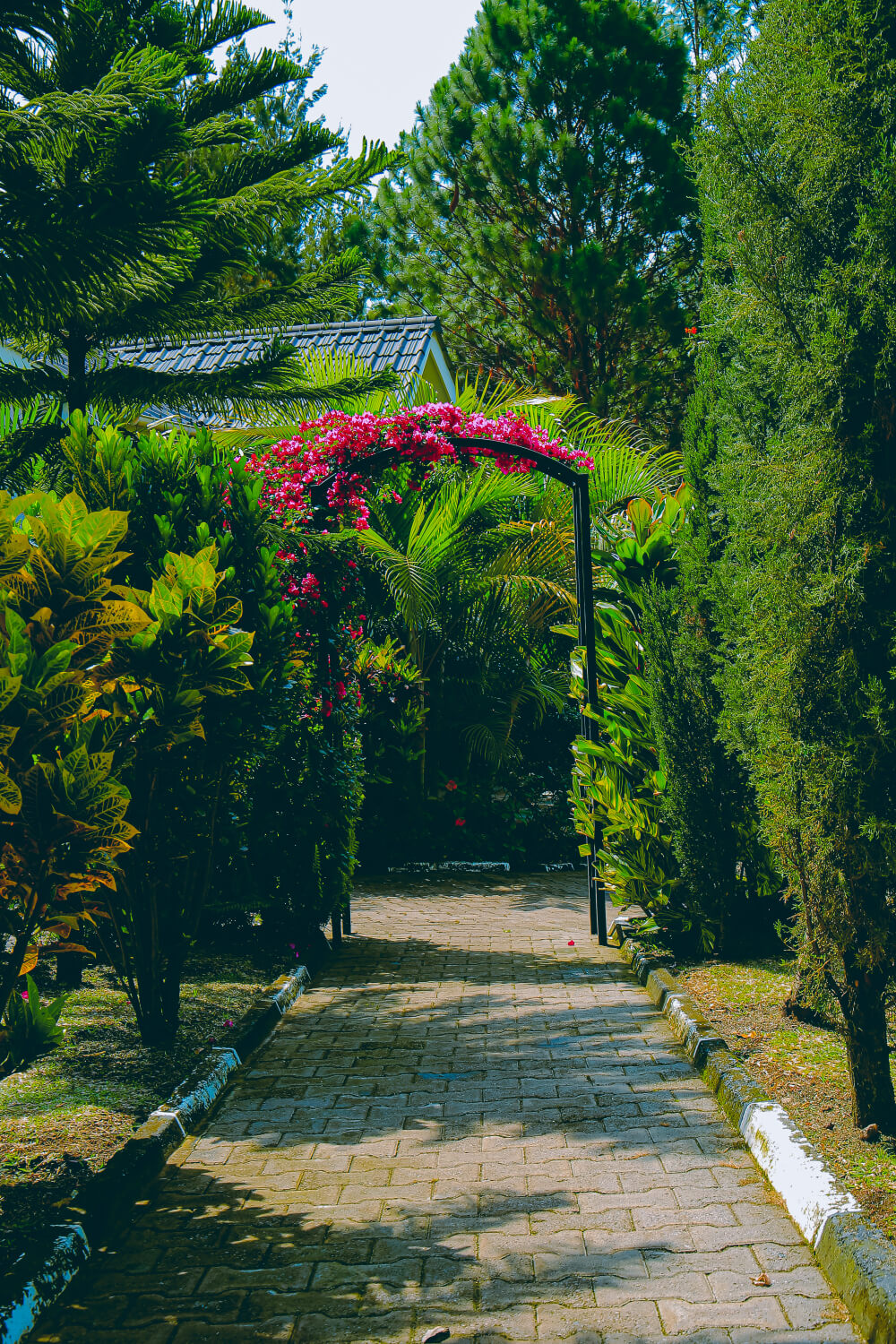 Garden paths at Home Bliss