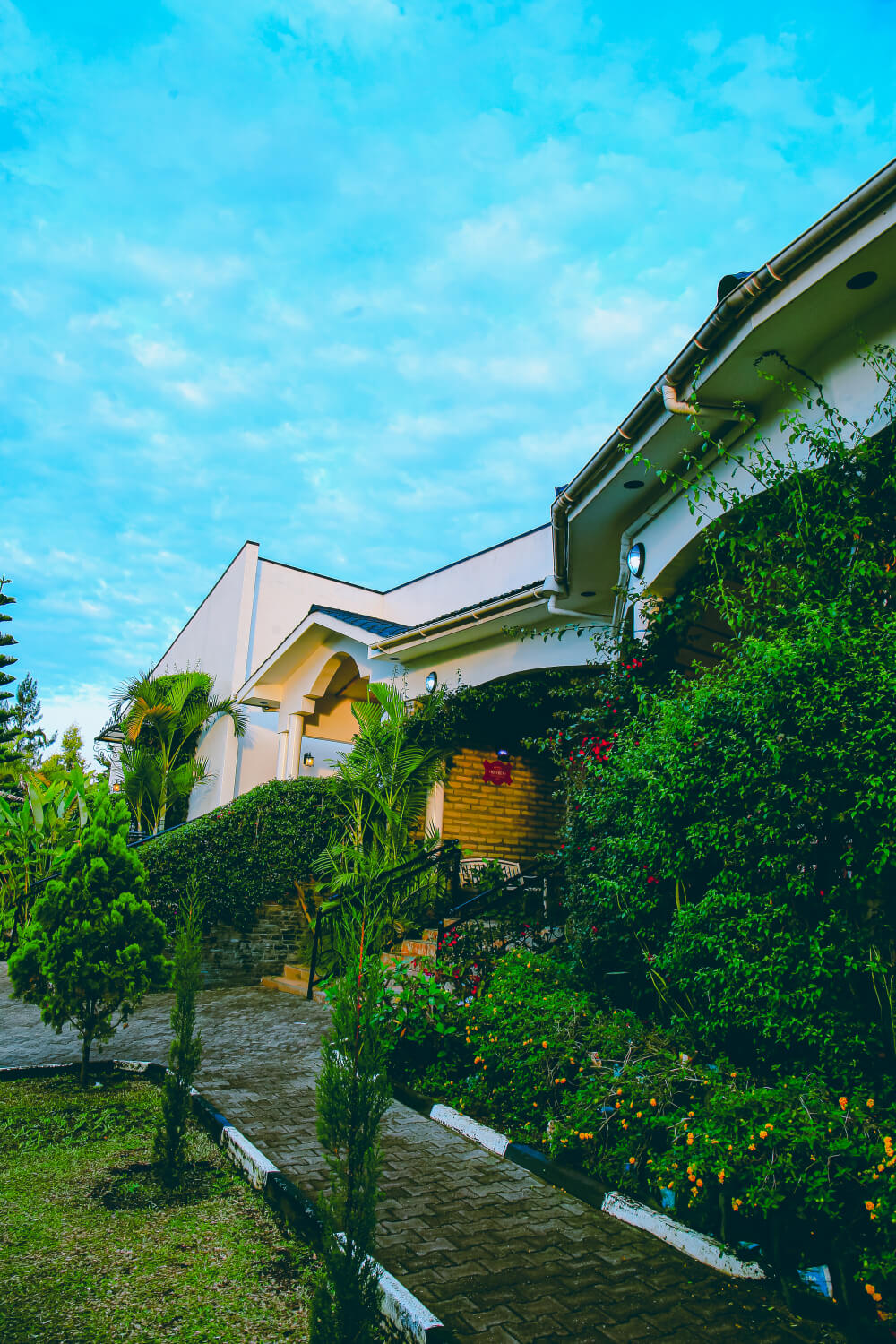 Swimming pool with Home Bliss branding